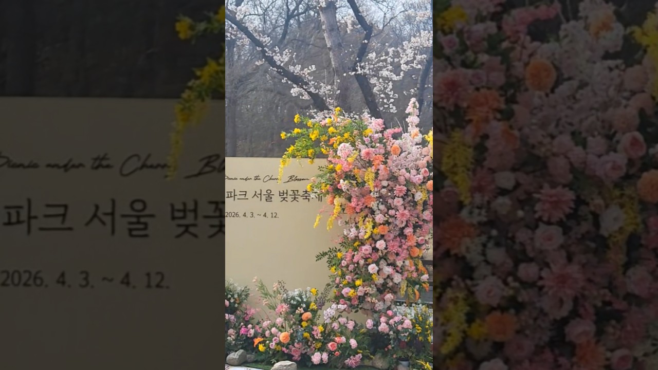 벚꽃축제 #경마#말 #달려라말 #shorts #서울경마
