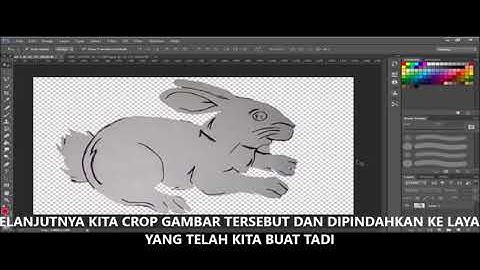 Tutorial Membuat Animasi Kelinci Meloncat Dengan Flash