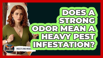 Does a Strong Odor Mean a Heavy Pest Infestation?