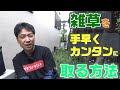 【雑草の取り方】建物のまわりの雑草を手早く、キレイに除草する方法。除草剤も一部使用します♪