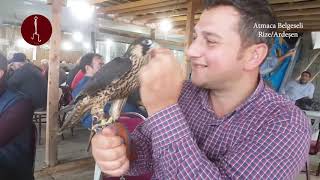 Atmaca Sevgisi Belgeseli Rize/Ardeşen