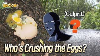 Eggs Crushed Every Morning & Chicken Farm Owner Wants to Know Why screenshot 1