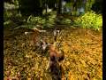 Gothic 2 dNdR Walkthrough Part 12 HD Gothic 2 dNdR Walkthrough Part 12 HD