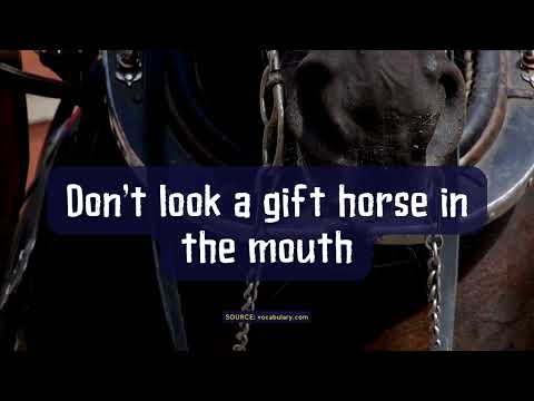 What Is The Don't Look A Gift Horse In The Mouth Idiom