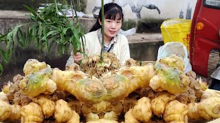 Go to the market to sell 6 years of yellow essence! 60kg sold for more than 1000 yuan  a large quan by 燕麦行游 14,765 views 2 weeks ago 16 minutes