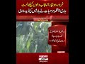 Pakistan Mausam Breaking News | Aaj Ka Mausam | Barish, Toofan Aur Heatwave Update