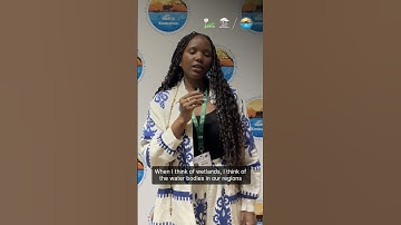 What comes to mind when you hear the word wetlands?