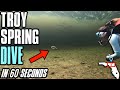 How to scuba dive Troy Springs State Park, FL | 1 minute diving breakdown video | Down to 60