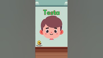 Head in Italian for Kids | Learn Body Parts Fast! #shortsforkids