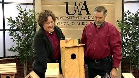 Building Bluebird Nest Boxes