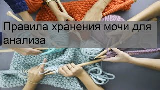 Правила хранения мочи для анализа