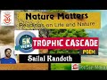 Trophic Cascade poem : summary &amp; analysis NATURE MATTERS 2 SEM KANNUR UNIVERSITY