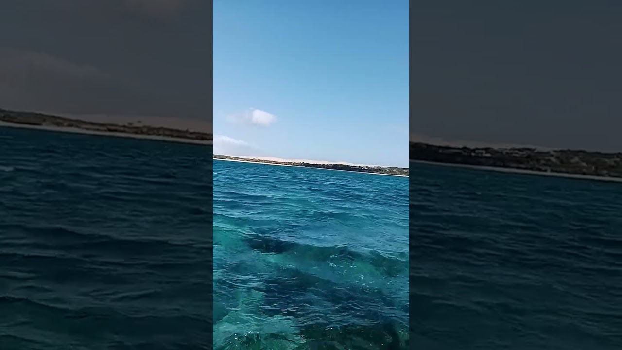 sailing dhow on Bazaruto island in Mozambique