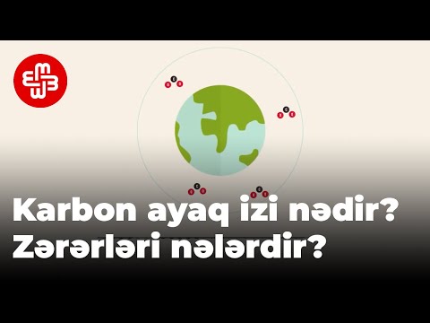 Video: Izi nədir?