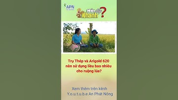 APN - LIỀU LƯỢNG TRỤ THÉP CẢI TIẾN + ARIGOLD 620 CHO RUỘNG LÚA  #shorts #kỹ_thuật_canh_tác_lúa