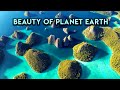 Beauty of Planet Earth - Amazing Nature Scenes - M83