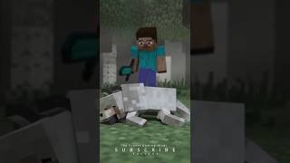 THE END OF WOLF 🐺 (Hindi) #minecraft #shorts #animation