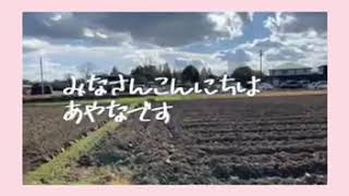 友達とランチに行きました あやな