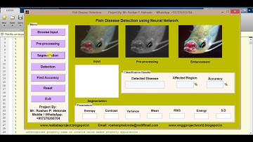 Matlab Project Fish disease detection using neural network Source Code