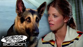 The Bionic Woman Meets The Bionic Dog! | The Bionic Woman | Science Fiction Station