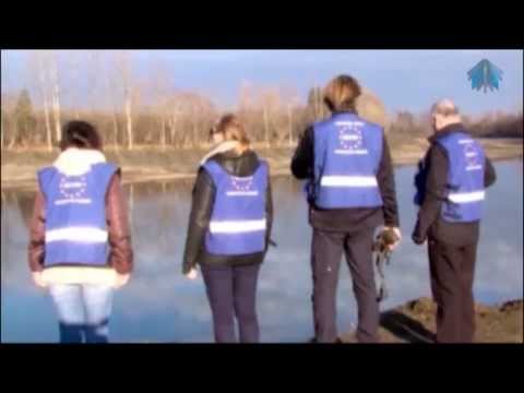 ქართული ჯარი - შეზღუდული უფლებები