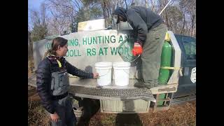 Stocking Brown Trout in Lower Smith River, Henry County Virginia