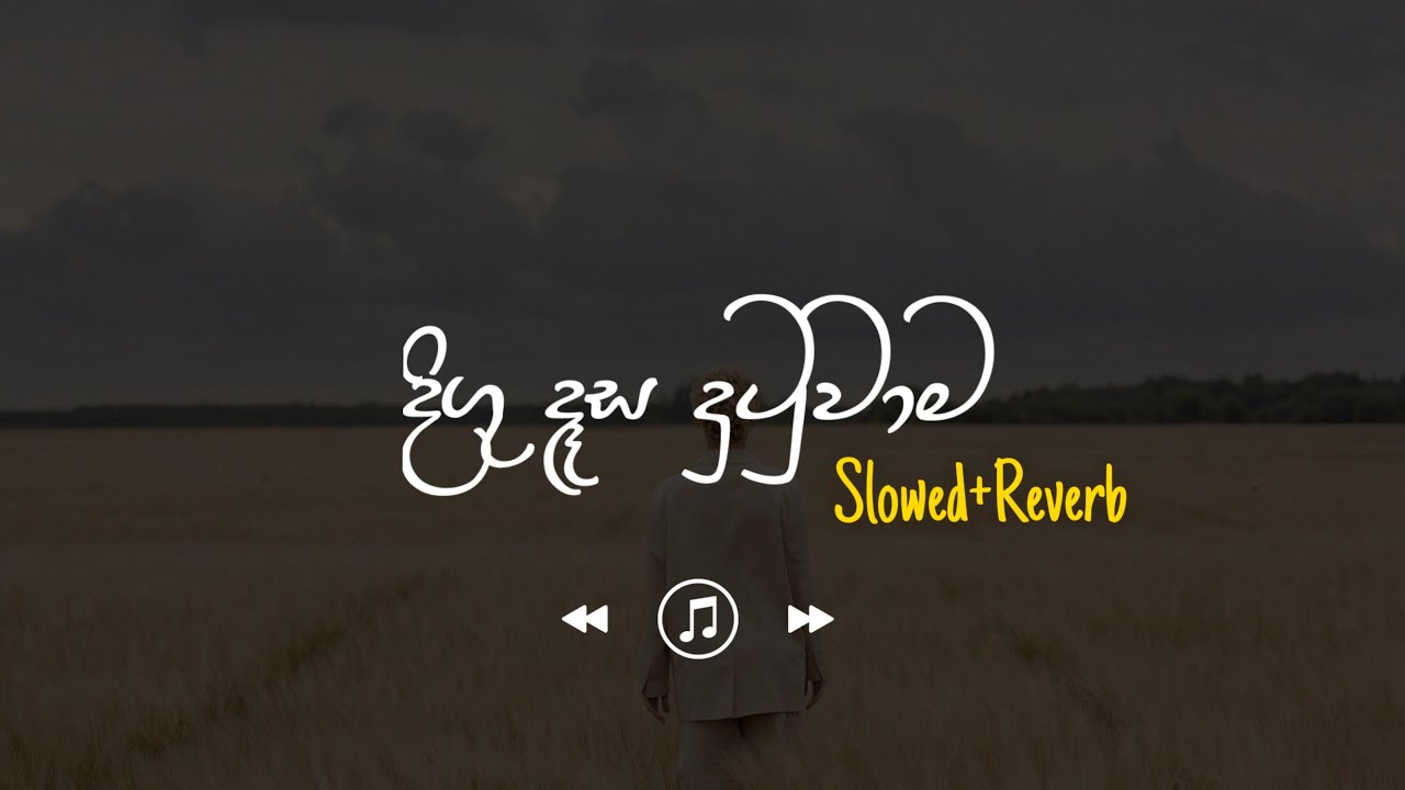 Digu Desa Dutuwama - දිගු දෑස දුටුවාම (Slowed+Reverb)