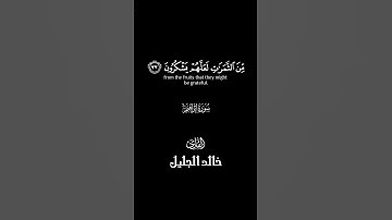 تلاوة لأواخر سورة إبراهيم بصوت القارىء خالد الجليل #تلاوة_خاشعة #quran #قرآن #خالد_الجليل #كرومات