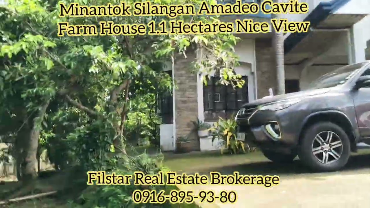 Farm House for sale in Amadeo Cavite 1.1 hectares