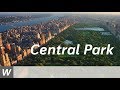 Central Park Video Quiz