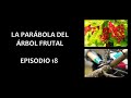 Podcast. La parábola del jardinero y el árbol frutal. Episodio 18