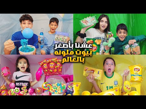 وفاء وعبير وزينو عملوبيوت ملونة بالسر وعاشو فيهم يوم كامل صارو جيران حرامية شامو وشعبان وفاء وعبير