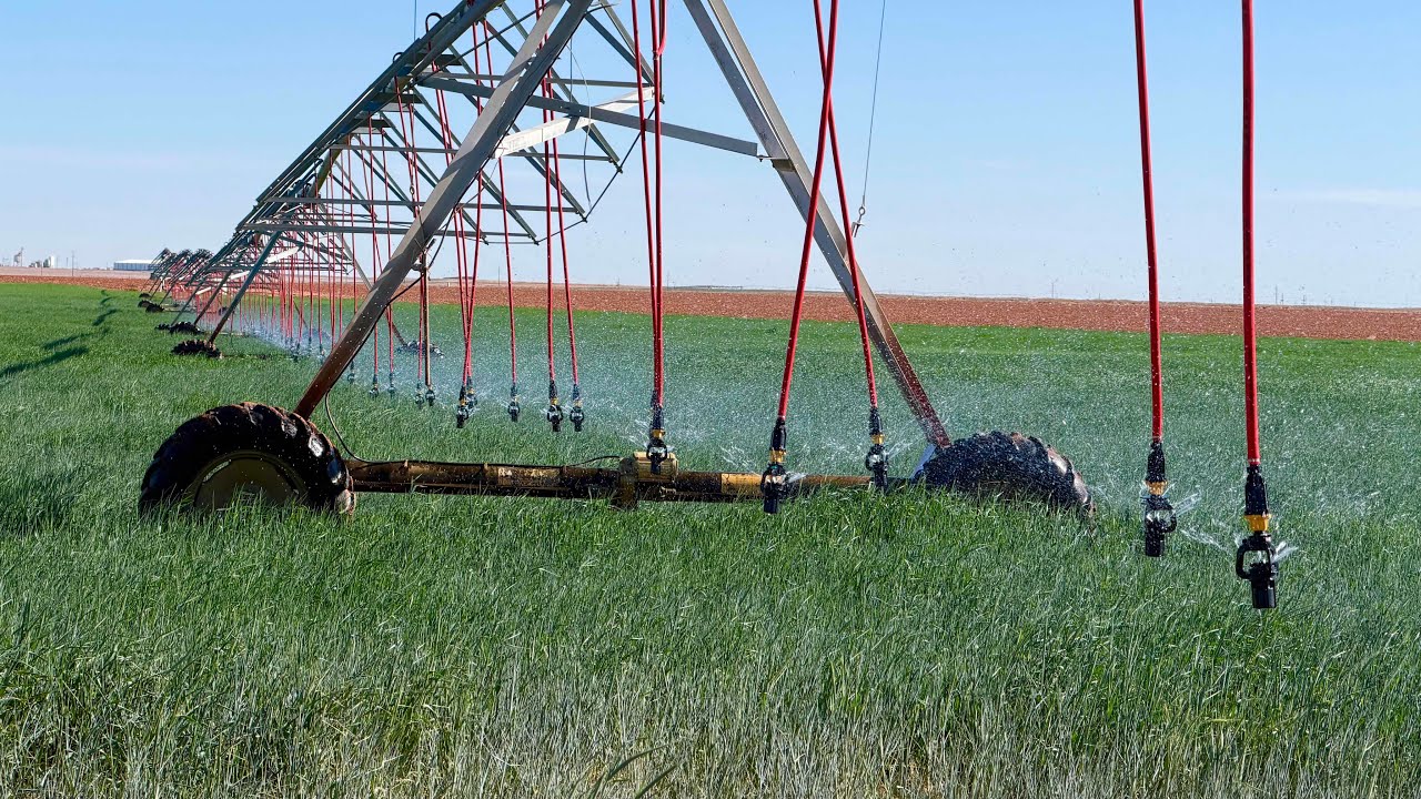 NEW Sprinklers Going Up - YouTube