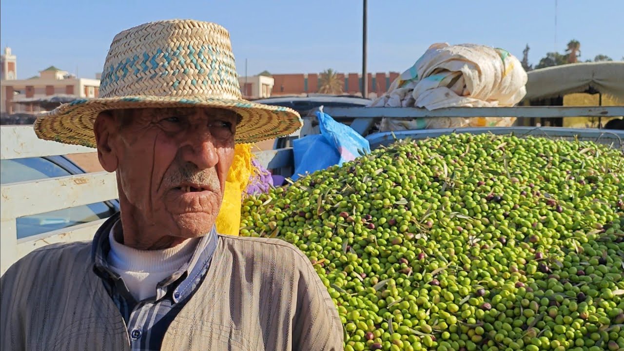 سوق الزيتون قلعة السراغنة وجدت سلعة الزيت اليوم 5 نونبر 2025 مع اثمنة الزيتون  🫒  🫒 🫒