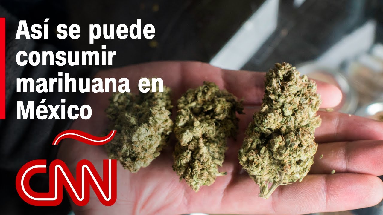 Las condiciones para consumir marihuana de forma recreativa en México