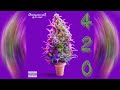 420 mixtape vol ii  get more lifted