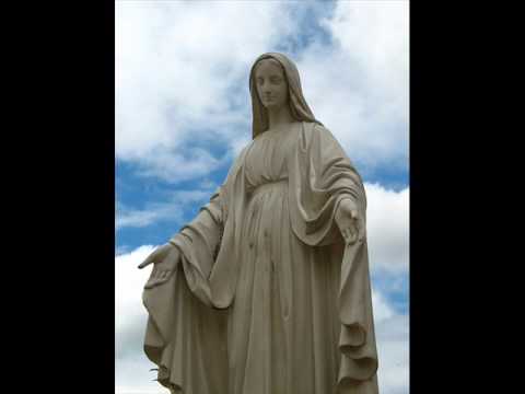 Brave Combo - Ave Maria