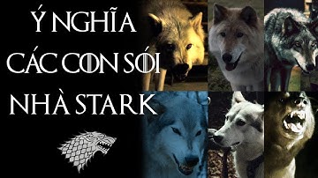 Game of Thrones - SÓI NHÀ STARK VÀ CHỦ NHÂN CHÚNG LIÊN QUAN THẾ NÀO?