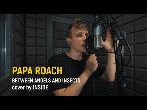 Papa Roach - Between Angels And Insects (Russian cover by INSIDE)