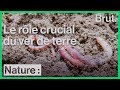 Interview de Christophe Gatineau sur le rôle du ver de terre
