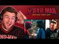 Spider Man Brand New Day Official Trailer REACTION mp3