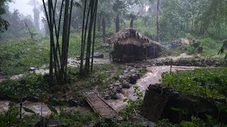 Download Lagu Face nature’s sudden, unpredictable danger | LIVING OFF THE GRID | Episode 78 MP3 Download Lagu Face nature’s sudden, unpredictable danger | LIVING OFF THE GRID | Episode 78 MP3