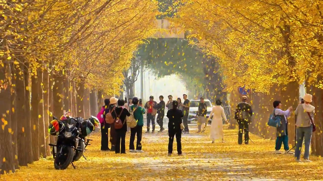 Beijing’s Autumn Takes Its Final Bow