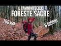 Camminare 100 km nelle FORESTE SACRE italiane: la nostra avventura EPICA! | Cammini