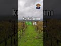 FARKET -2-#ruhunyankıları #ruhsalyolculuk #kişiselgelişim #kendinisevmek