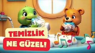 Temizlik Şarkısı Icık