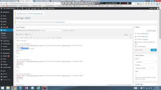Adding team members information to the Our Team Page