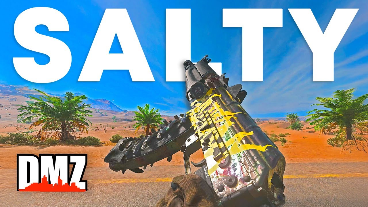 DMZ - Salty Enemies in DMZ - Unexpected Encounters - YouTube