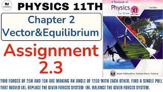 Assignment 2.3 | 1st Year Physics | Vector Addition | Chapter 2 | Vectors & Equilibrium #assignme...