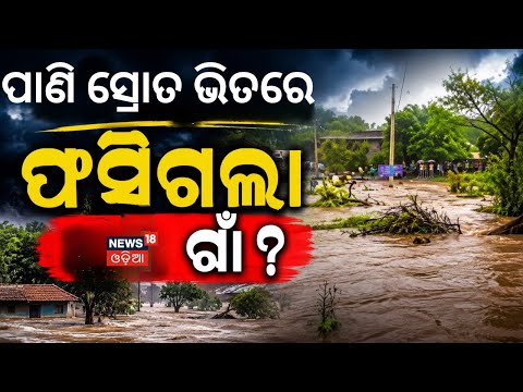 ରାଉରକେଲାରେ ପ୍ରଳୟର ଚିତ୍ର! Heavy Downpour Submerges Bridge in Bonai | Rourkela Weather Updates